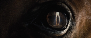 Kaminski framed the shot in the reflection in the horse's eye. Not only does it look amazing, it also shows how the film is really from the horse's perspective. An interesting technique and it works.
